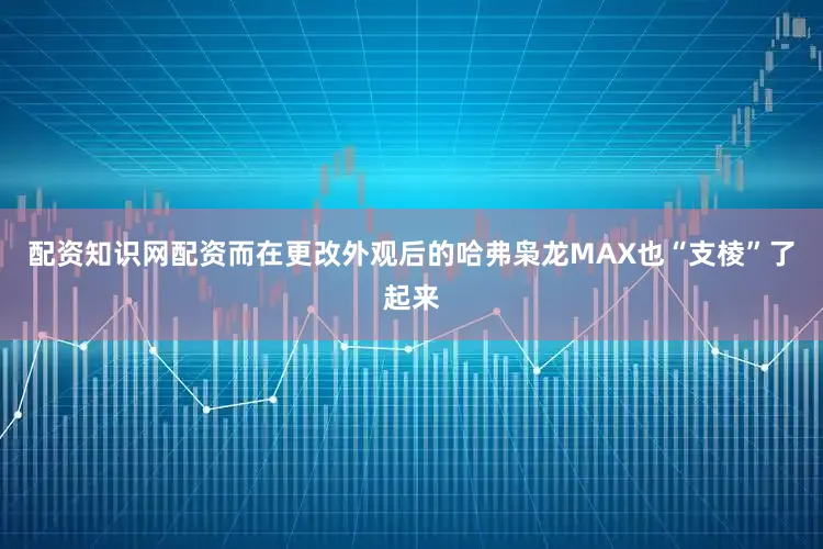 配资知识网配资而在更改外观后的哈弗枭龙MAX也“支棱”了起来